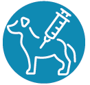 Veterinary care