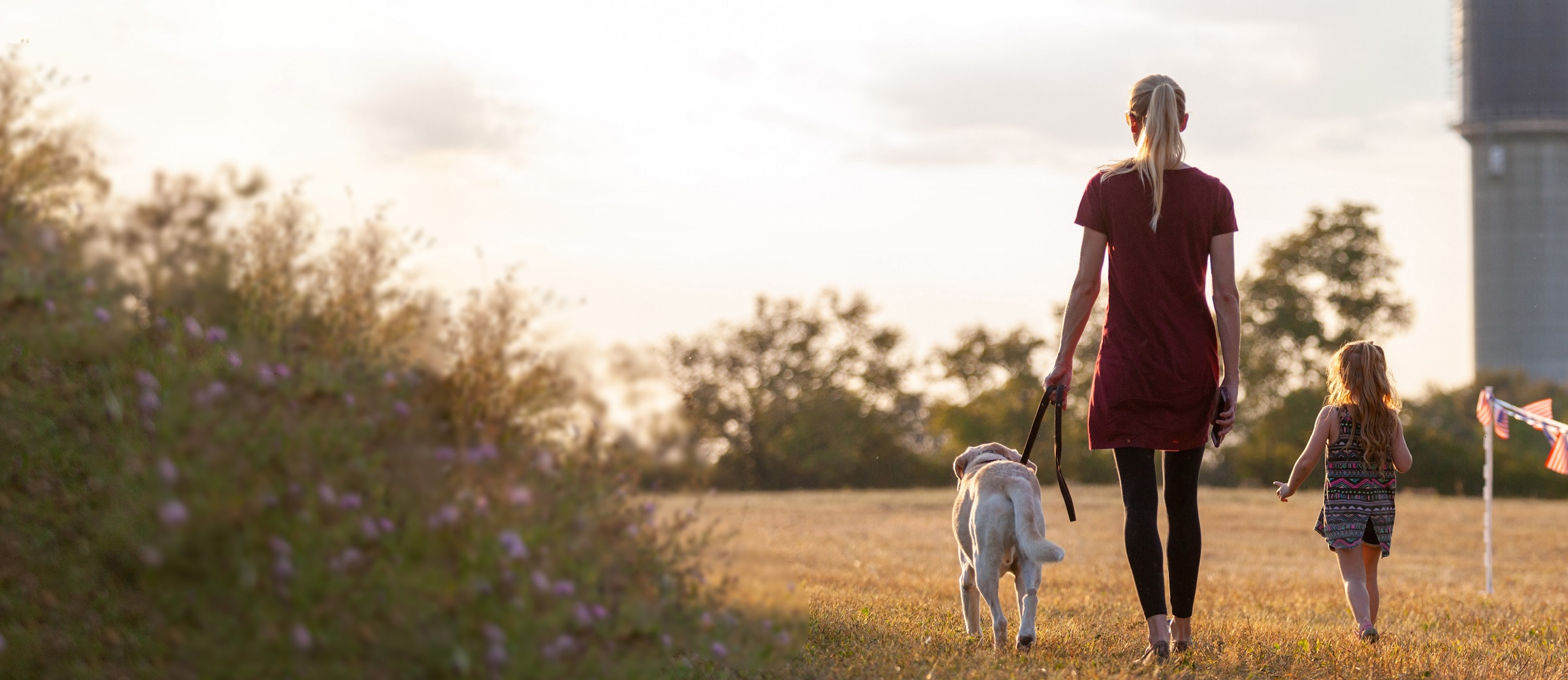 Magnolia Paws for Compassion Banner